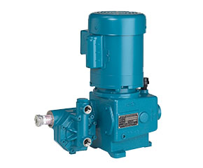 Economical,Metering,Pumps,Neptune,Chemical,Pump,Company,Inc