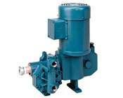 Metering Pumps, Diaphragm Metering Pumps, Chemical Metering Pumps